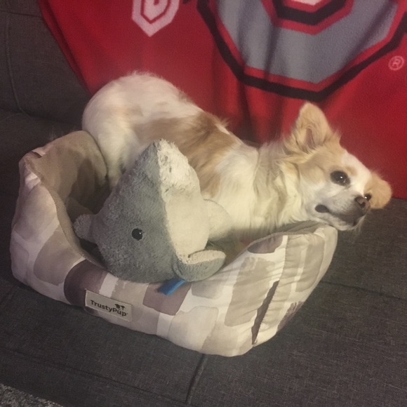 Meet your Posher, Troy - Picture 1 of 1